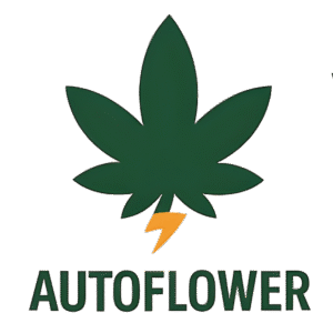 Glueberry O.G. Auto Feminised Seeds