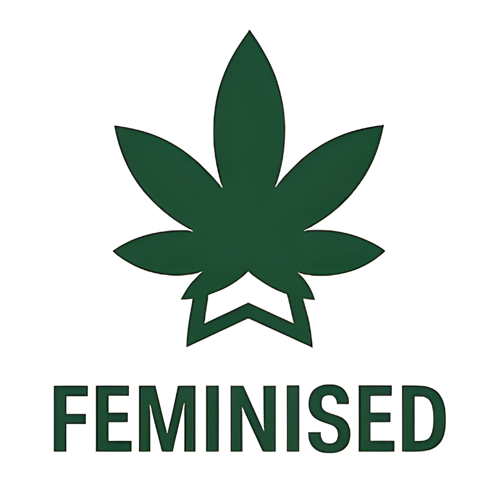 Alaskan Diesel Auto Feminised Seeds