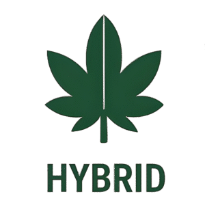 Special Queen #1 Feminised Seeds