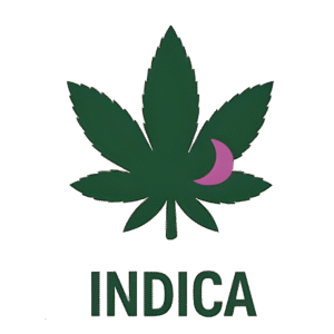 Chocolate Cream Feminised Seeds