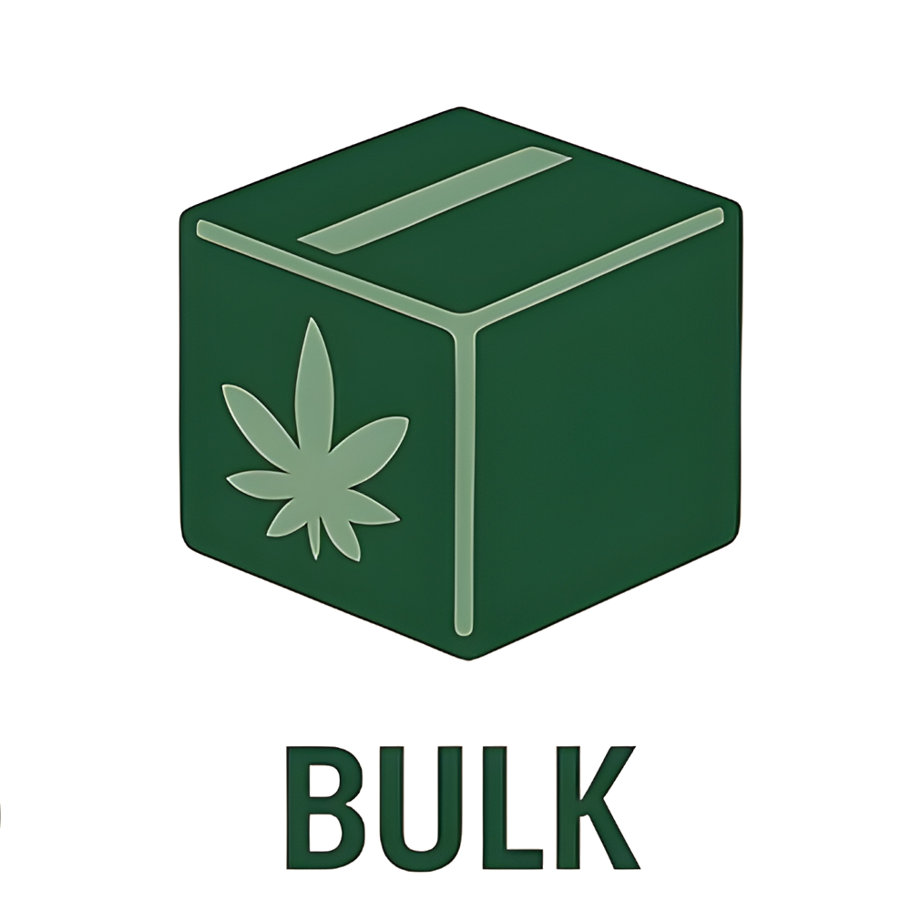 Amnesia — 100 Seeds Bulk Pack